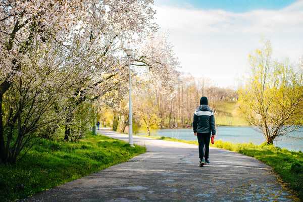 Camino entre árboles con luz suave, ideal para un paseo tranquilo
